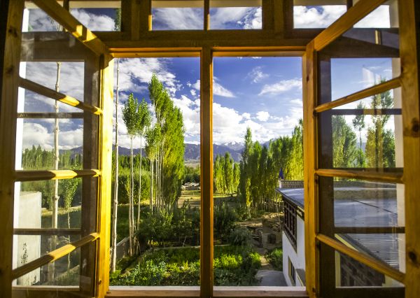 Cost of Wood Window Replacement in Cherry Hill