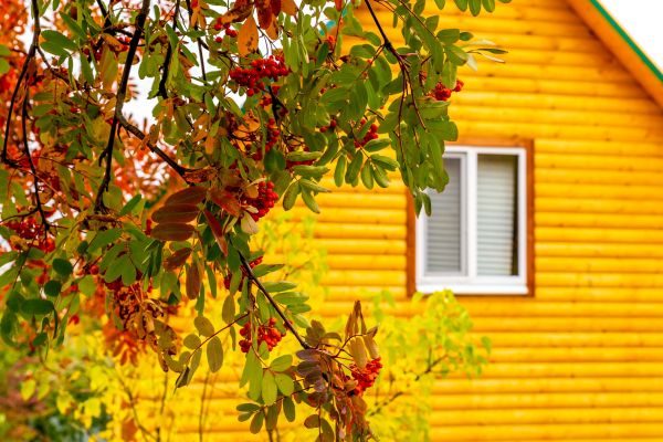 Cost of Garden Window Replacement in Cherry Hill